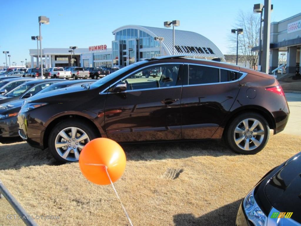 2010 ZDX AWD Technology - Ionized Bronze Metallic / Ebony photo #3