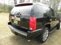 Black Raven - Escalade AWD Photo No. 16