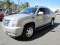 Quicksilver - Escalade EXT AWD Photo No. 3