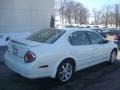 2003 Glacier White Pearl Nissan Maxima GLE  photo #2