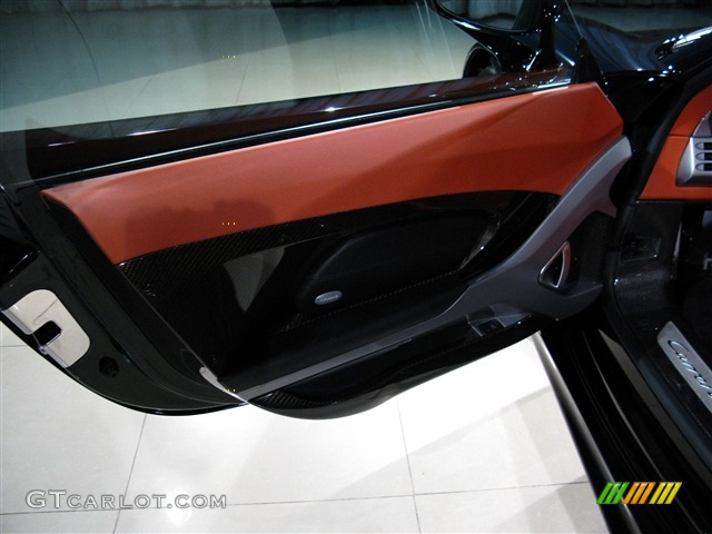 2005 Porsche Carrera GT Standard Carrera GT Model Terracotta Door Panel Photo #272684