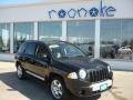 Brilliant Black Crystal Pearl 2009 Jeep Compass Limited 4x4
