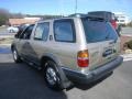 Sahara Beige Metallic - Pathfinder SE 4x4 Photo No. 3