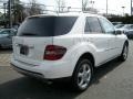 Arctic White - ML 350 4Matic Photo No. 5