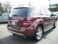 2007 Borolo Red Metallic Mercedes-Benz ML 350 4Matic  photo #5