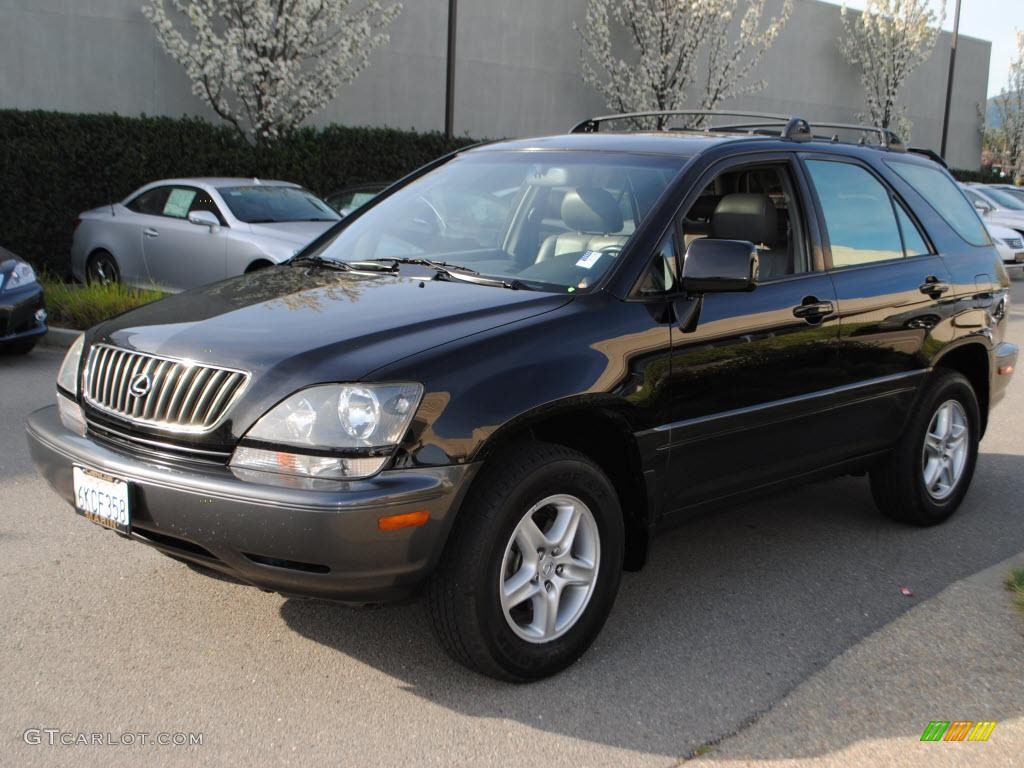 1999 RX 300 AWD - Black Onyx / Gray photo #3