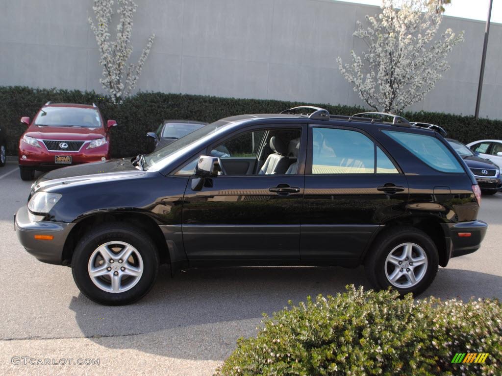 1999 RX 300 AWD - Black Onyx / Gray photo #4