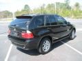 Jet Black - X5 3.0i Photo No. 25