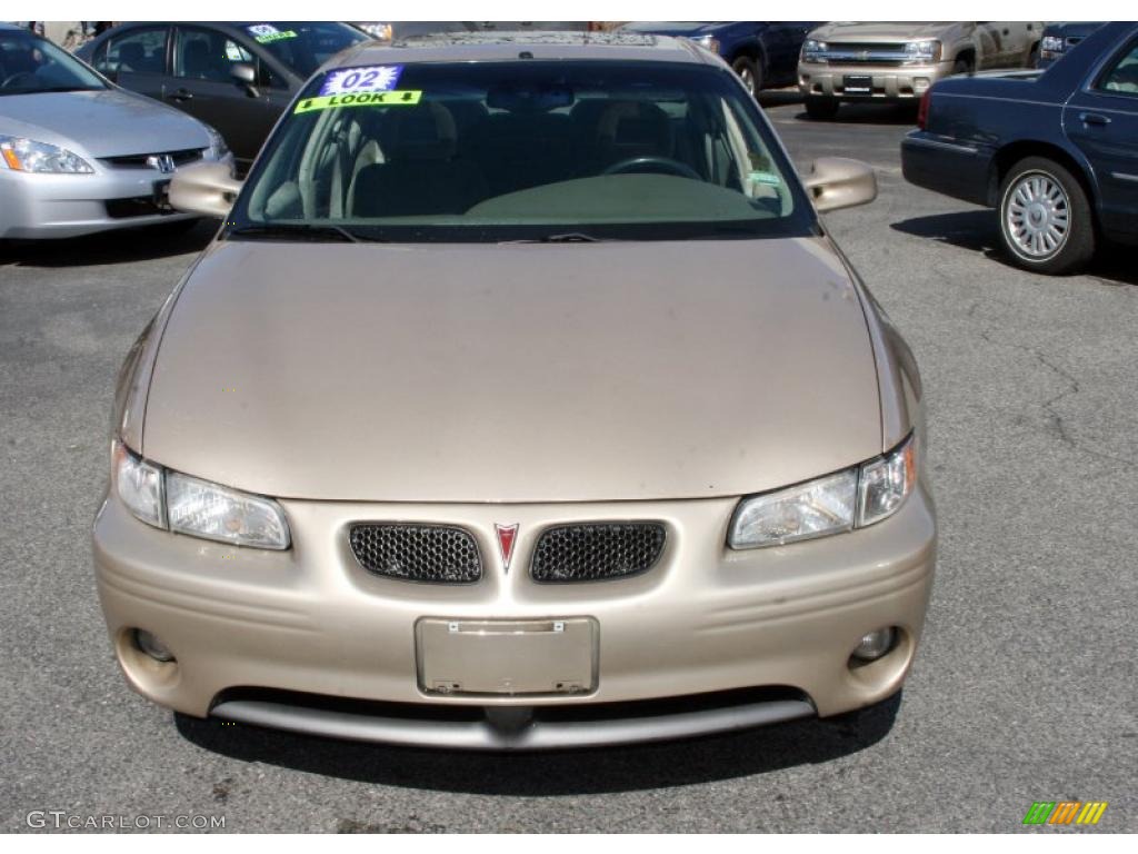 2002 Grand Prix GT Sedan - Champagne Beige Metallic / Dark Taupe photo #2