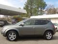 2005 Platinum Metallic Nissan Murano SL AWD  photo #7