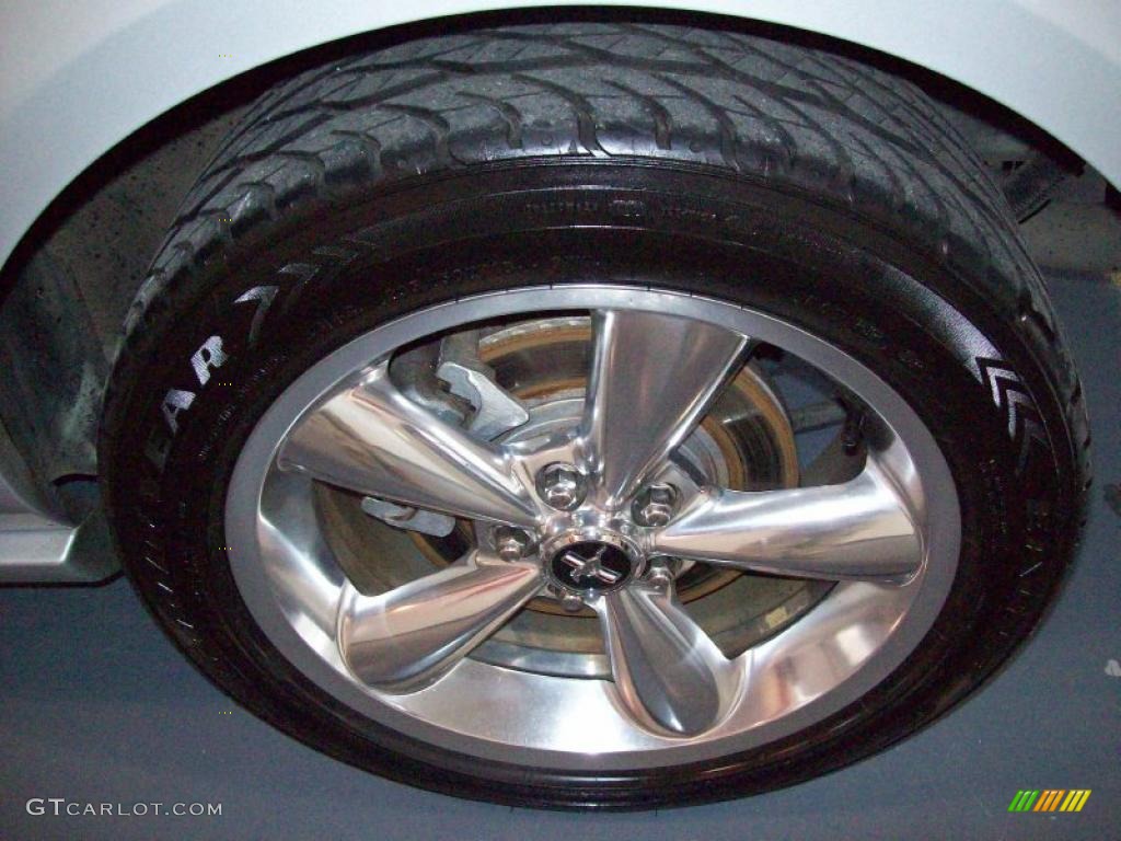 2006 Mustang GT Premium Coupe - Satin Silver Metallic / Light Graphite photo #10