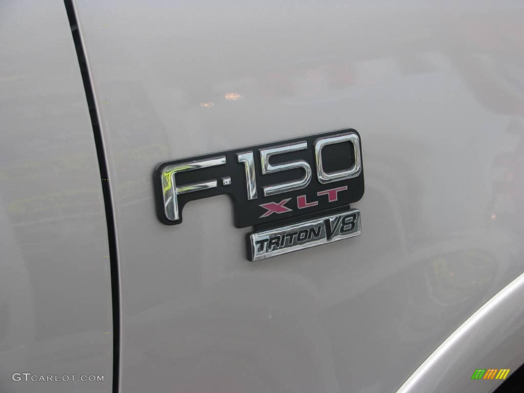 2003 F150 XLT Regular Cab Flareside 4x4 - Silver Metallic / Medium Graphite Grey photo #11