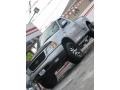 Silver Metallic - F150 XLT Regular Cab Flareside 4x4 Photo No. 13