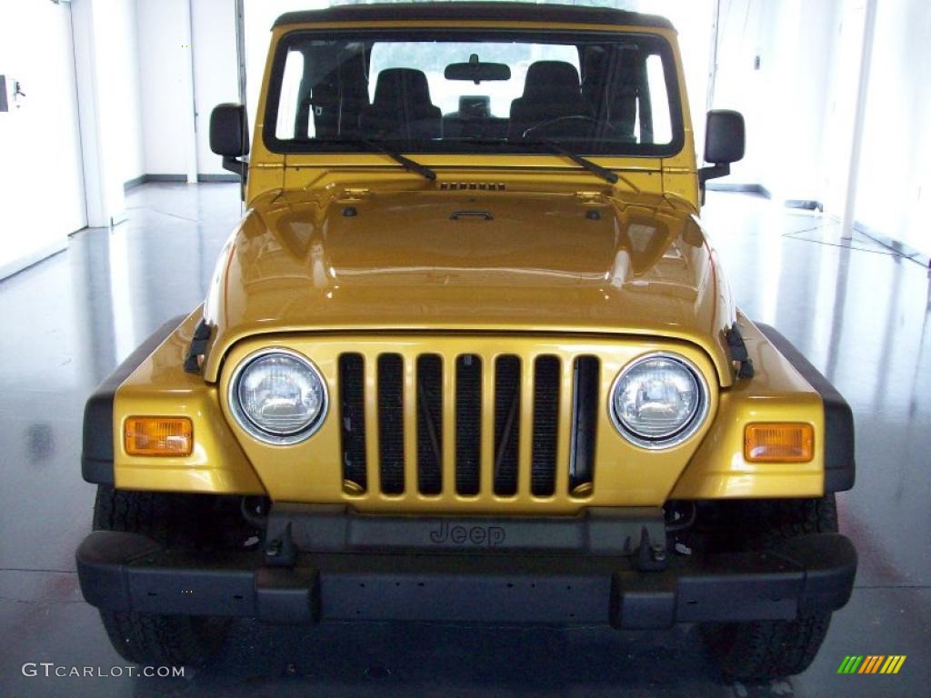 2003 Wrangler Sport 4x4 - Inca Gold Metallic / Dark Slate Gray photo #2