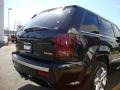 Brilliant Black Crystal Pearl - Grand Cherokee SRT8 4x4 Photo No. 21