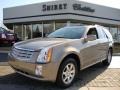 Radiant Bronze 2007 Cadillac SRX 4 V6 AWD