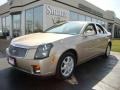 Sand Storm - CTS Sedan Photo No. 1