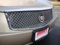 Sand Storm - CTS Sedan Photo No. 16