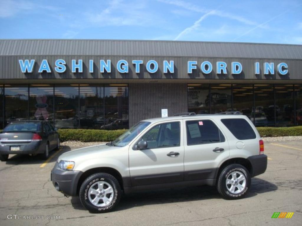 2006 Escape XLT V6 4WD - Gold Ash Metallic / Medium/Dark Pebble photo #1