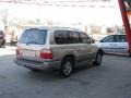 Cashmere Beige Metallic - LX 470 Photo No. 5