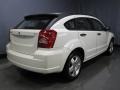 Stone White - Caliber SXT Photo No. 3