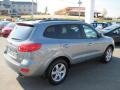 2007 Steel Gray Hyundai Santa Fe Limited  photo #5