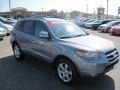 2007 Steel Gray Hyundai Santa Fe Limited  photo #7