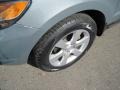 2007 Steel Gray Hyundai Santa Fe Limited  photo #9