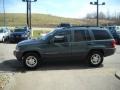 2004 Onyx Green Pearl Jeep Grand Cherokee Laredo 4x4  photo #5
