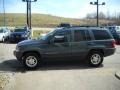 Onyx Green Pearl - Grand Cherokee Laredo 4x4 Photo No. 5