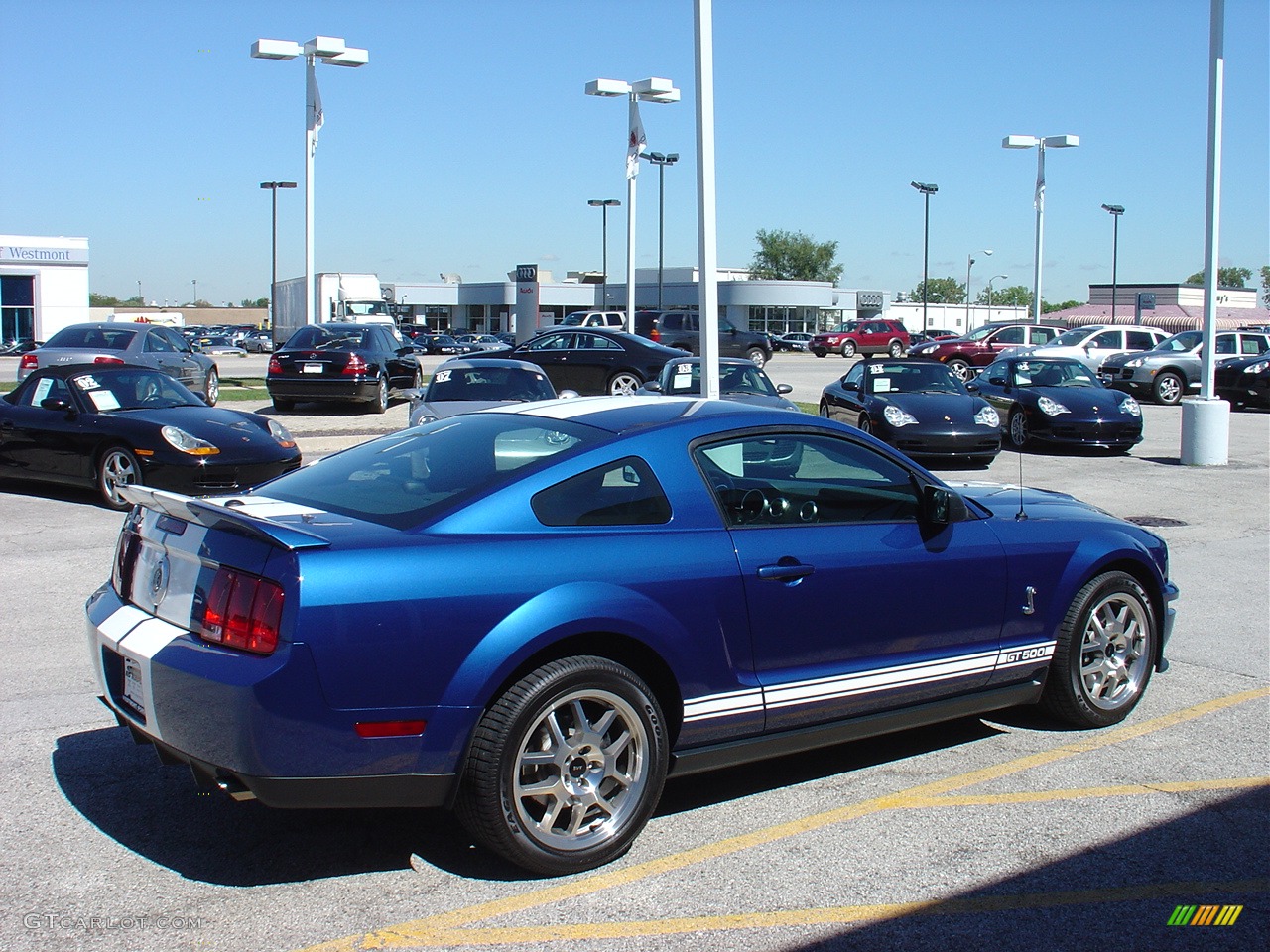 2007 Mustang Shelby GT500 Coupe - Vista Blue Metallic / Black Leather photo #7