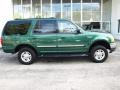 1999 Tropic Green Metallic Ford Expedition XLT 4x4  photo #2
