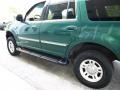 1999 Tropic Green Metallic Ford Expedition XLT 4x4  photo #6