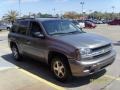 2006 Graystone Metallic Chevrolet TrailBlazer LS  photo #5