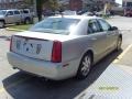 2009 Radiant Silver Cadillac STS V8  photo #4