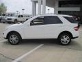 Alabaster White - ML 350 4Matic Photo No. 3