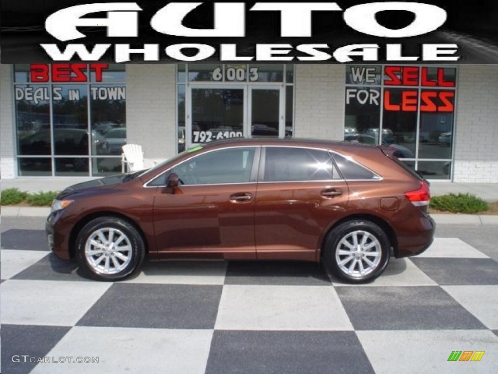 2009 Venza I4 - Sunset Bronze Mica / Ivory photo #1