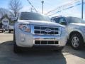 2010 White Suede Ford Escape Limited V6 4WD  photo #2