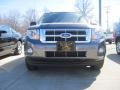 2010 Sterling Grey Metallic Ford Escape XLT 4WD  photo #2