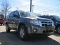 2010 Sterling Grey Metallic Ford Escape XLT 4WD  photo #3