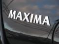 2004 Onyx Black Nissan Maxima 3.5 SE  photo #24