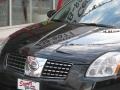 2004 Onyx Black Nissan Maxima 3.5 SE  photo #30