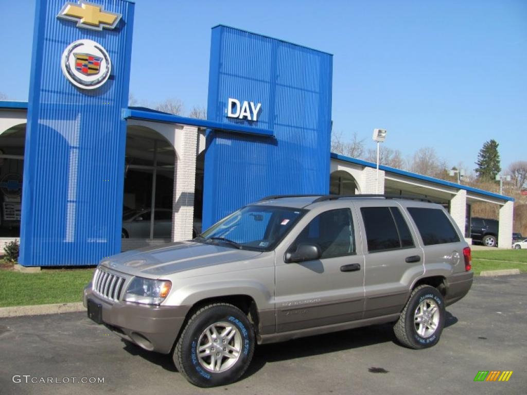 Light Pewter Metallic Jeep Grand Cherokee