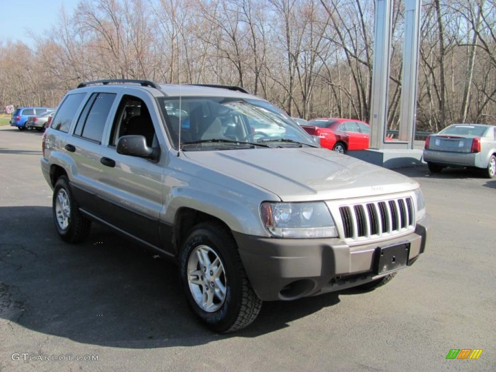 2004 Grand Cherokee Laredo 4x4 - Light Pewter Metallic / Dark Slate Gray photo #5