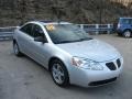 Quicksilver Metallic - G6 V6 Sedan Photo No. 6