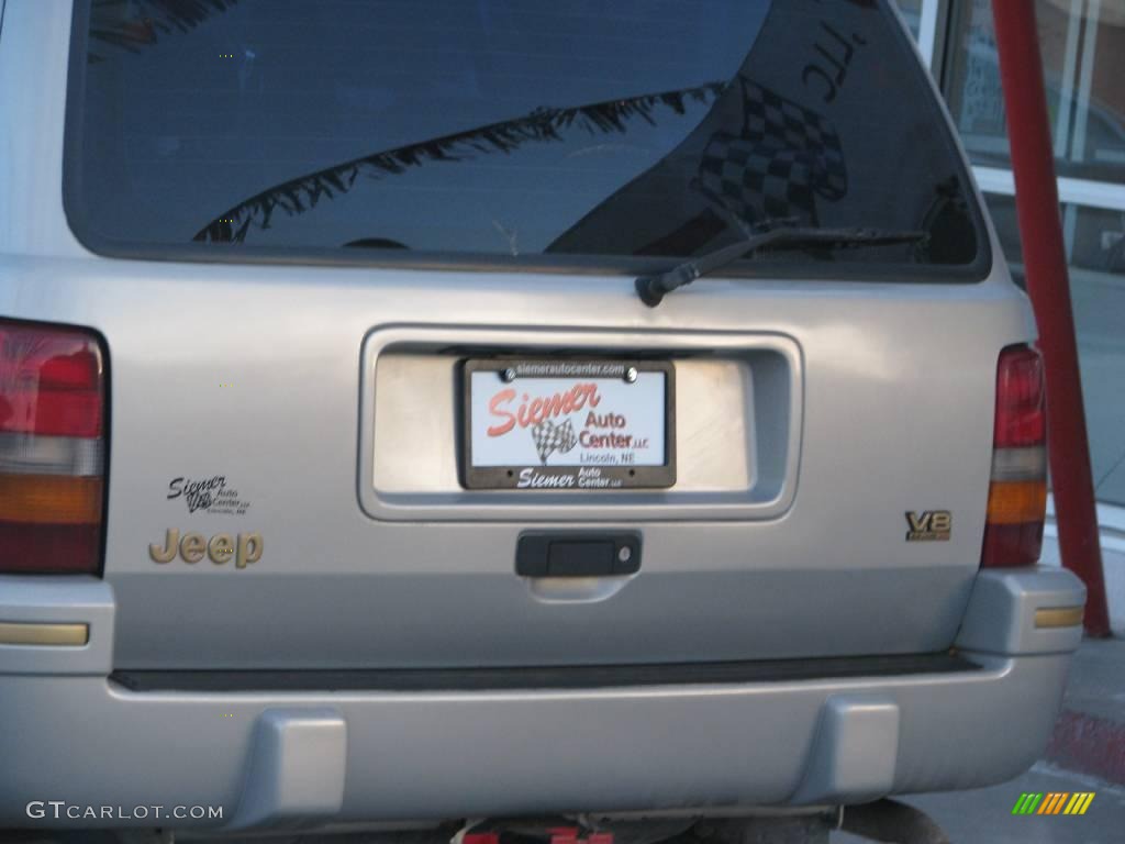 1995 Grand Cherokee Orvis 4x4 - Light Drift Wood Metallic / Tan photo #18