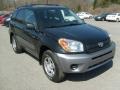 Black - RAV4 4WD Photo No. 1