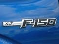 2010 Blue Flame Metallic Ford F150 XLT SuperCrew 4x4  photo #4