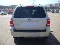 2008 Light Sage Metallic Ford Escape Limited 4WD  photo #3