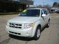 2008 Light Sage Metallic Ford Escape Limited 4WD  photo #11